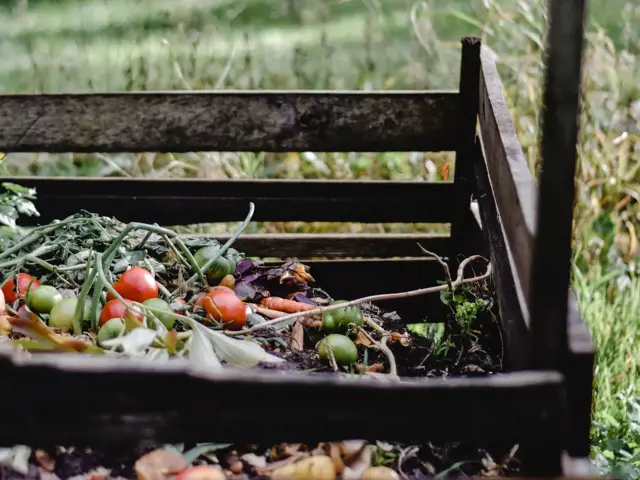 The Benefits of Organic Gardening and How to Get Started
